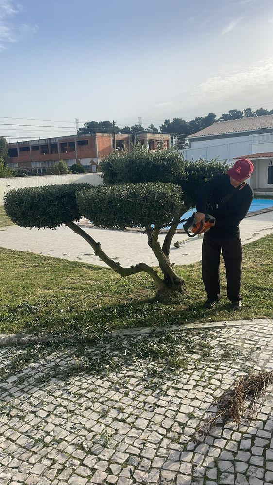 Jardinagem e Limpeza de Terreno
