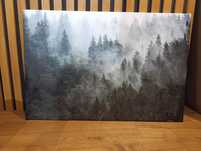 Obraz las we mgle 90x60