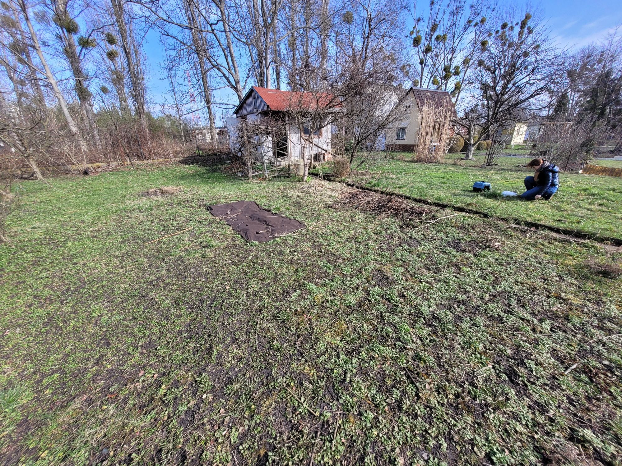 Ogródek działkowy ROD ZGODA na granicy gaju i jagodna