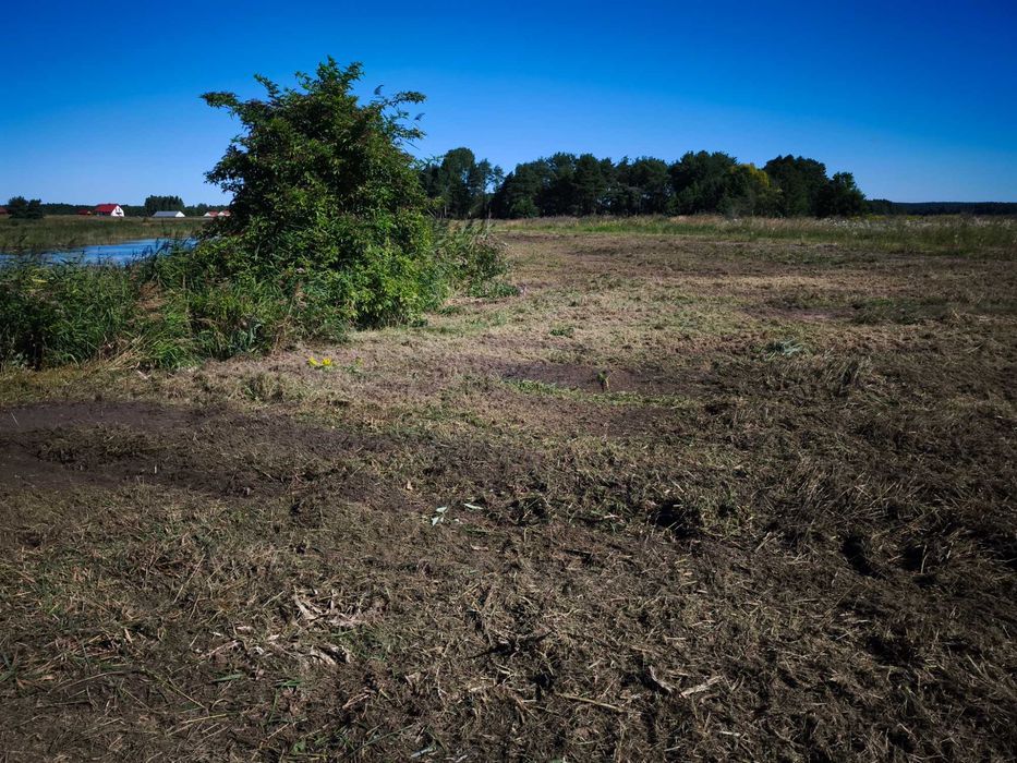 Mulczer leśny - Czyszczenie, oczyszczanie działek, nieużytków, gruntów