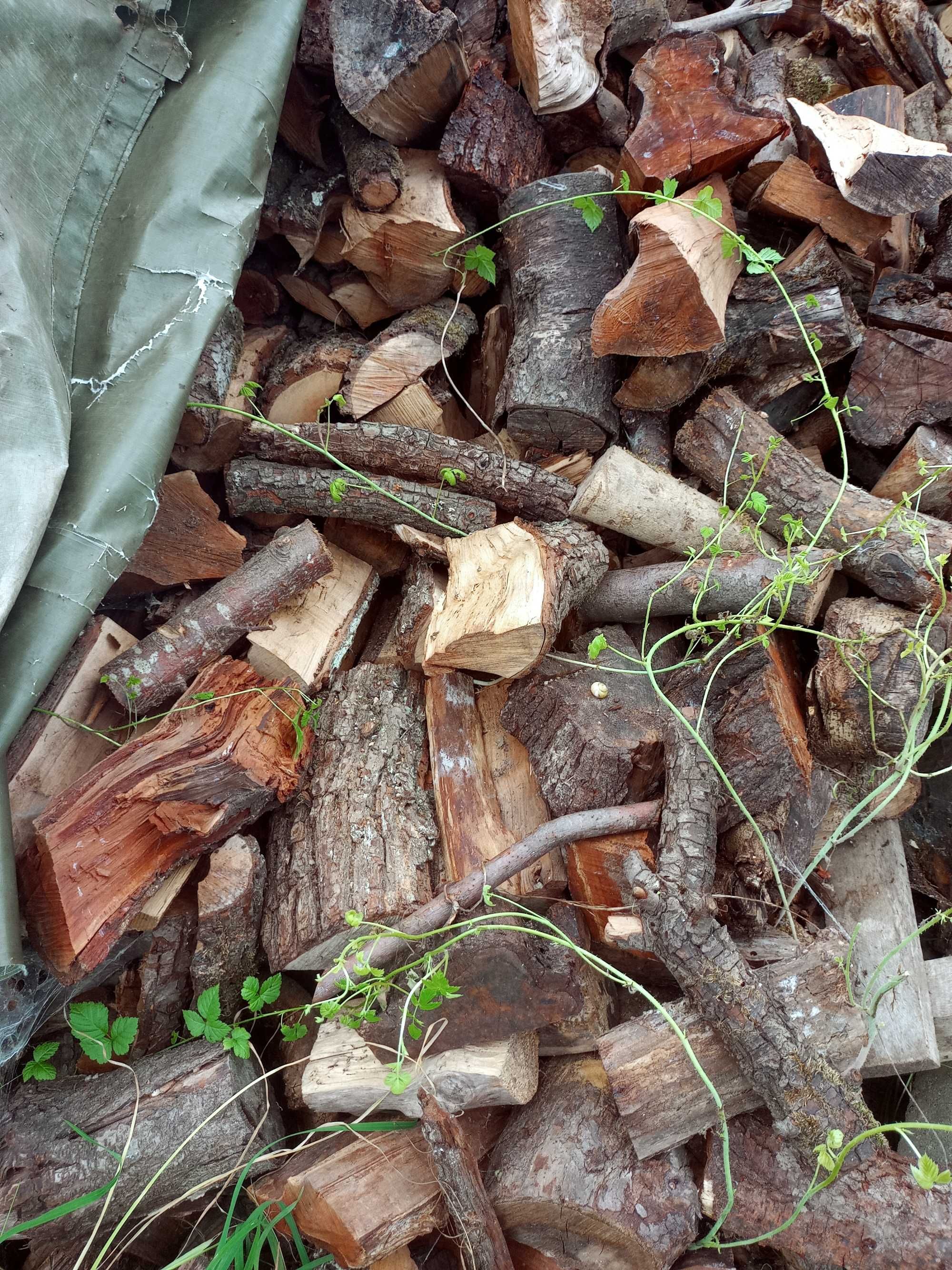 Drewno Suche Do Wędzenia Owocowe Ekologiczne metr przestrzenny