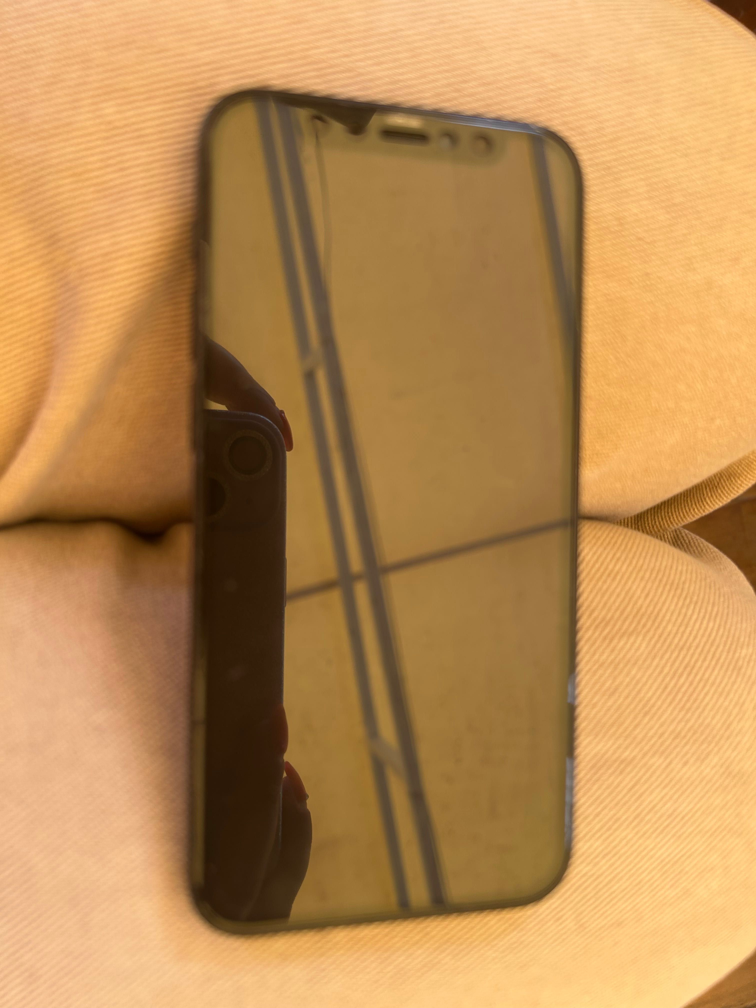 iPhone   12  mini