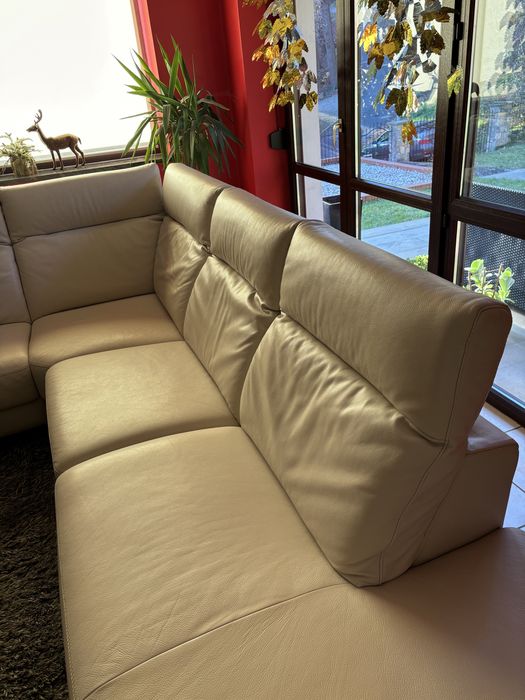 Duży narożnik 290/230 Musterring skóra naturalna