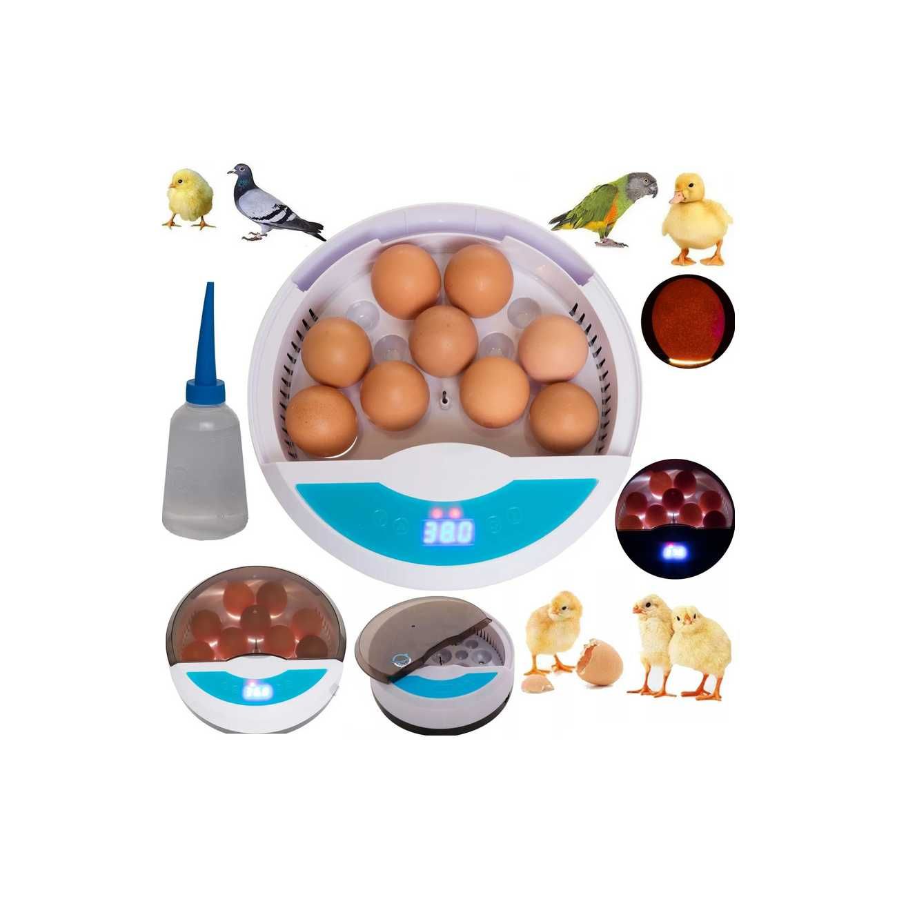 OUTLET Inkubator na 9 jaj (klujnik wylęgarka)
