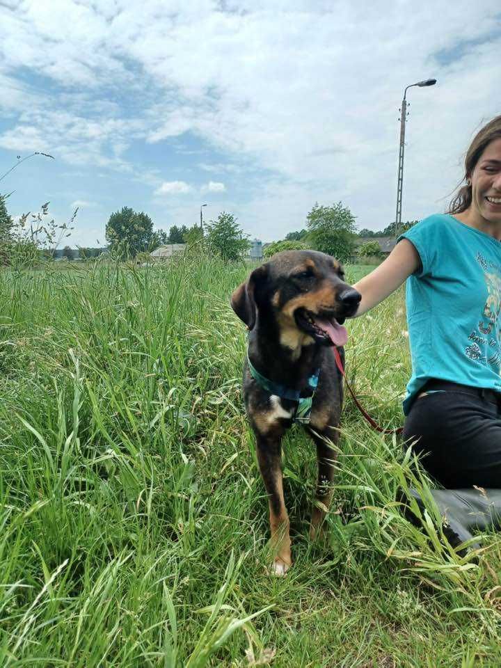 Szaruś - niewidoczny słodziak szuka nowej rodziny ADOPCJA