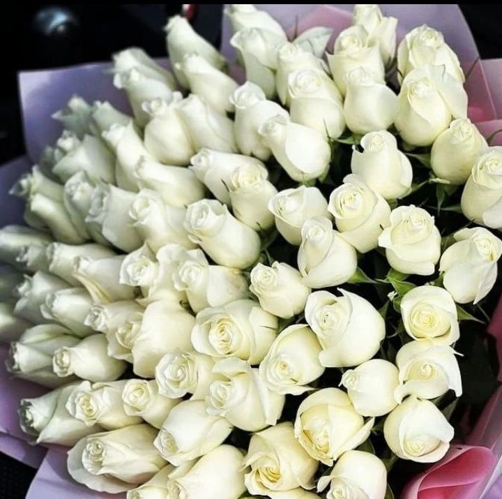 Букет 101 троянда (70см.) • Доставка квітів • 51 троянда • 101 роза •