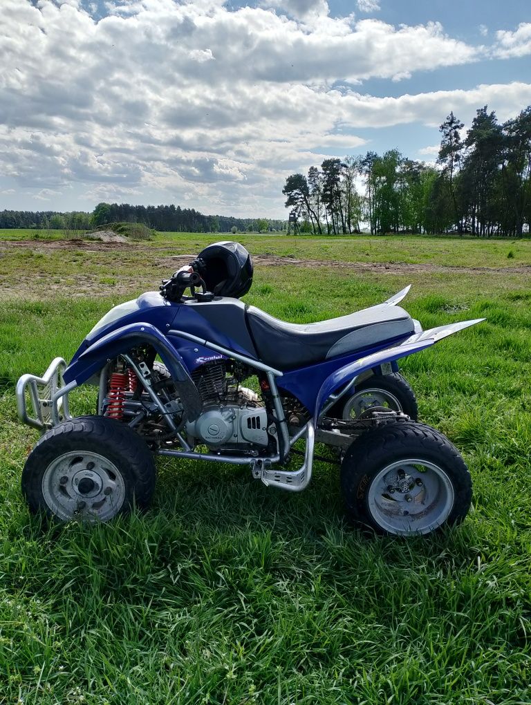 Suzuki LTZ Extreme Racing 300