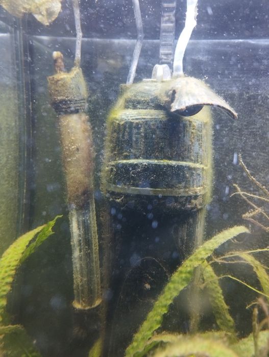 Akwarium 112l z wyposażeniem