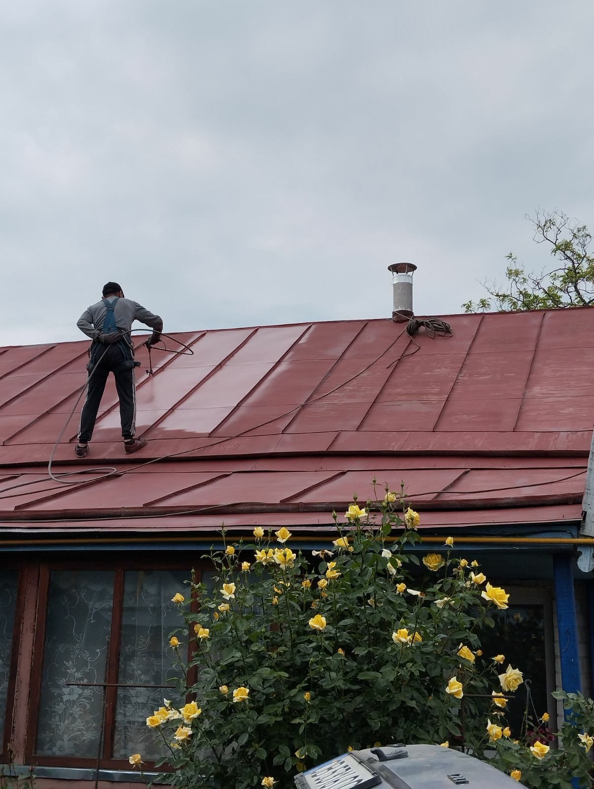 Фарбування дахів Ніжин Покраска крыш Нежин  и обл.