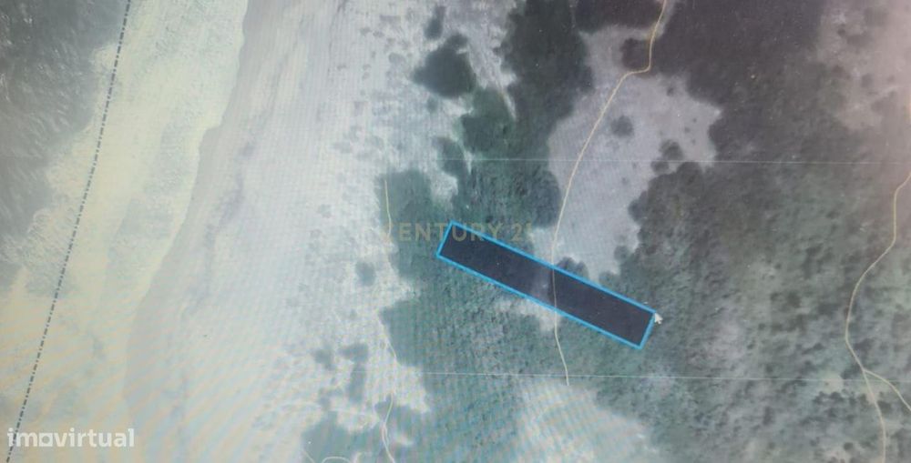 Terreno Rústico à Venda na Murtosa – Quintas do Norte