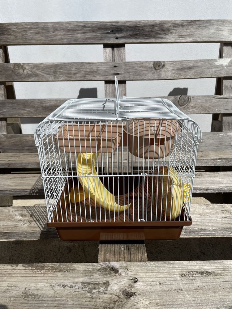 Gaiola de hamster com escorrega