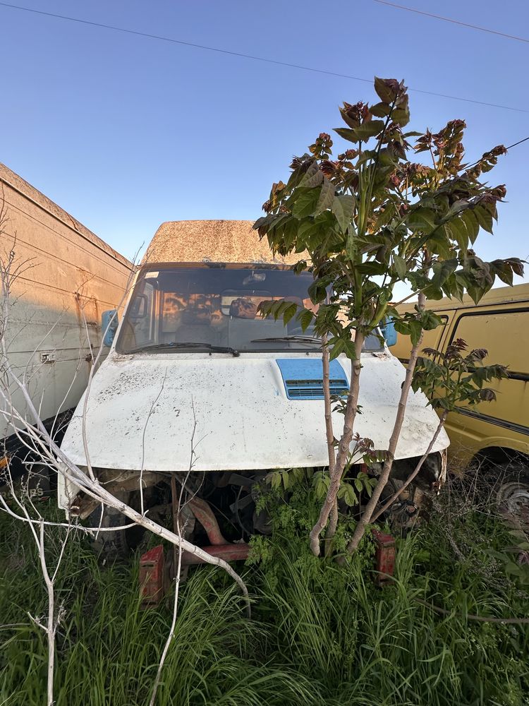 Авто Івеко грузбус