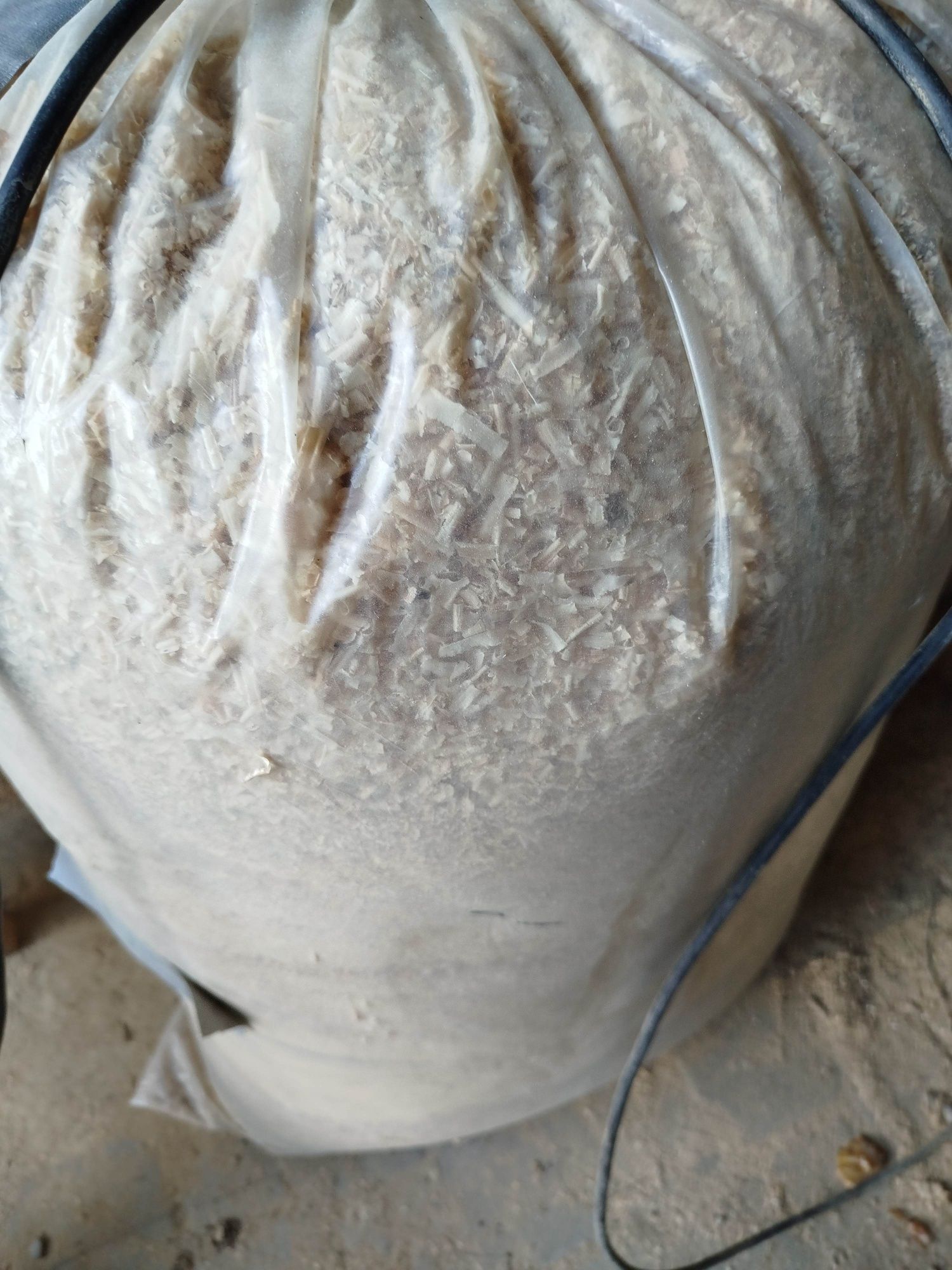 Trociny suche 5x200l wióry