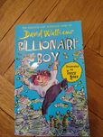 Billionaire boy, David Walliams po angielsku