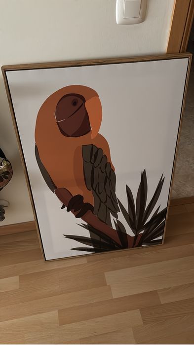 Quadro papagaio homa