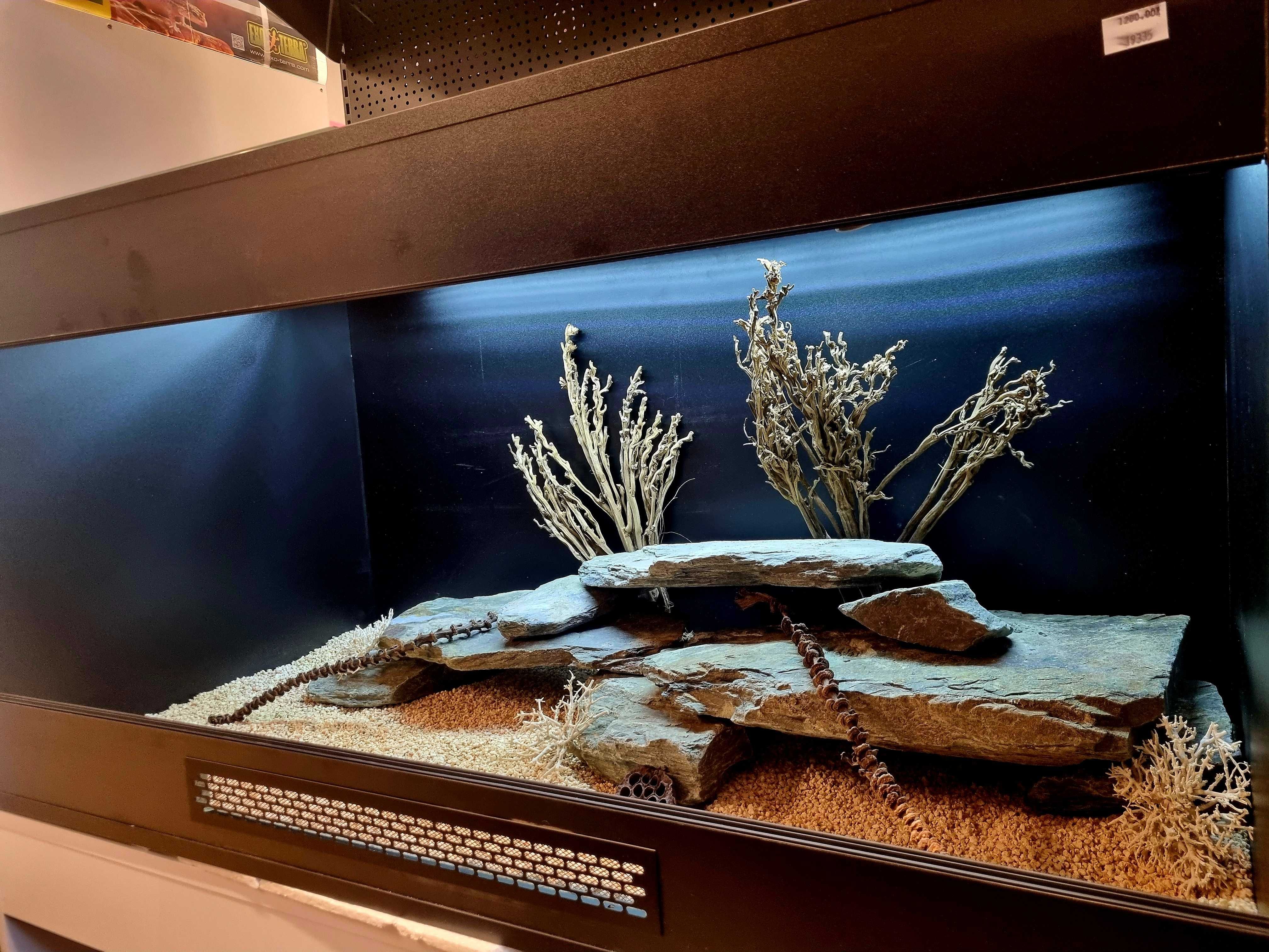 Terrarium 120x60x60 dla agamy brodatej