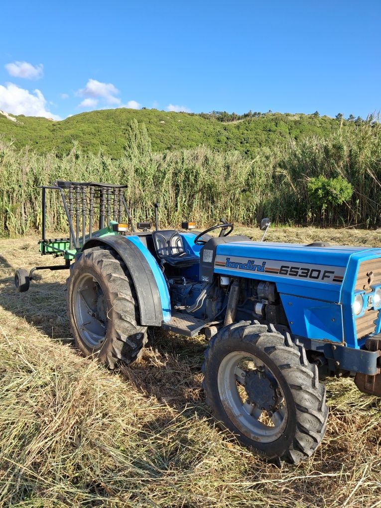 Trabalhos agricolas