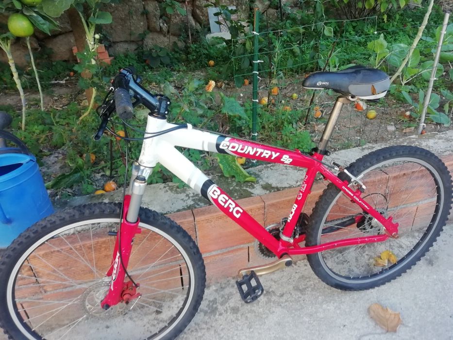 Bicicleta Berg disco