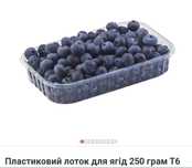 Лоток для ягід 250,500 грм