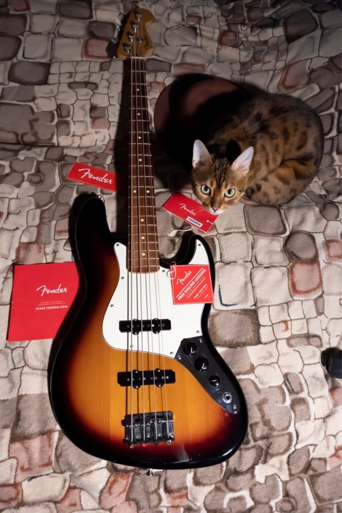 Fender jazz bass