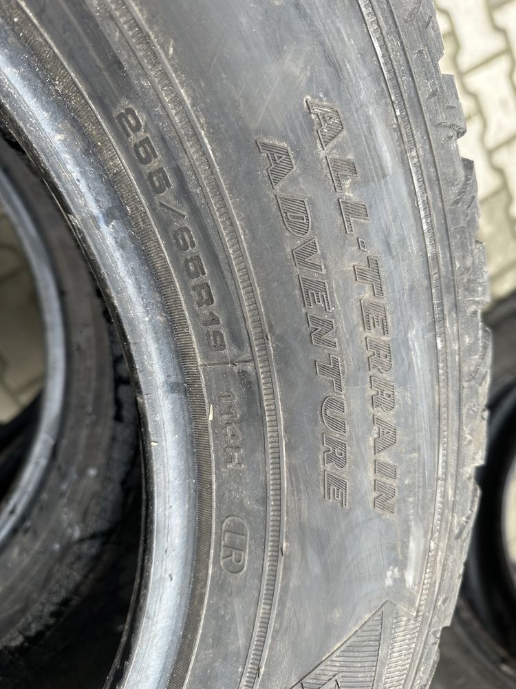 255/65r19 goodyear wielosezon all-terrain