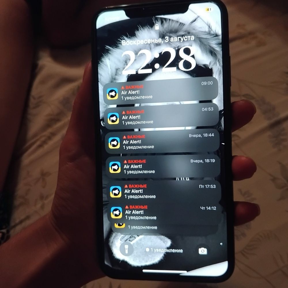 IPhone XS Max 512ГБ