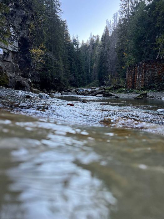 Відпочинок  в Карпатах .Микуличин(Вміщаємо до 90 осіб)