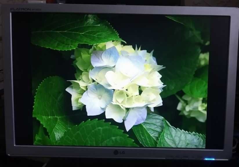 Монітор LG Flatron w1942s-sf