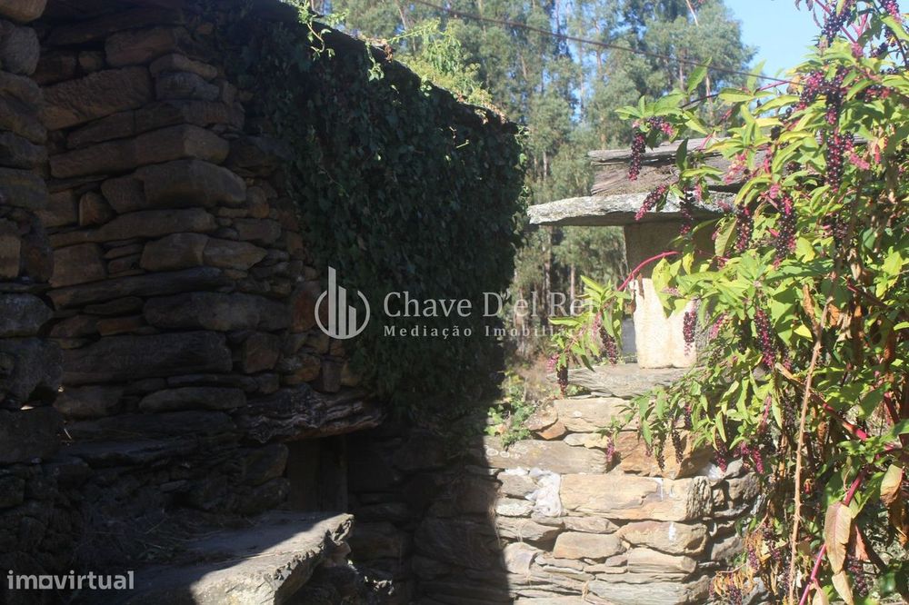 Quinta  Venda em Parada de Ester e Ester,Castro Daire