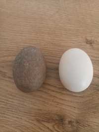 Kamień o kształcie jajka!