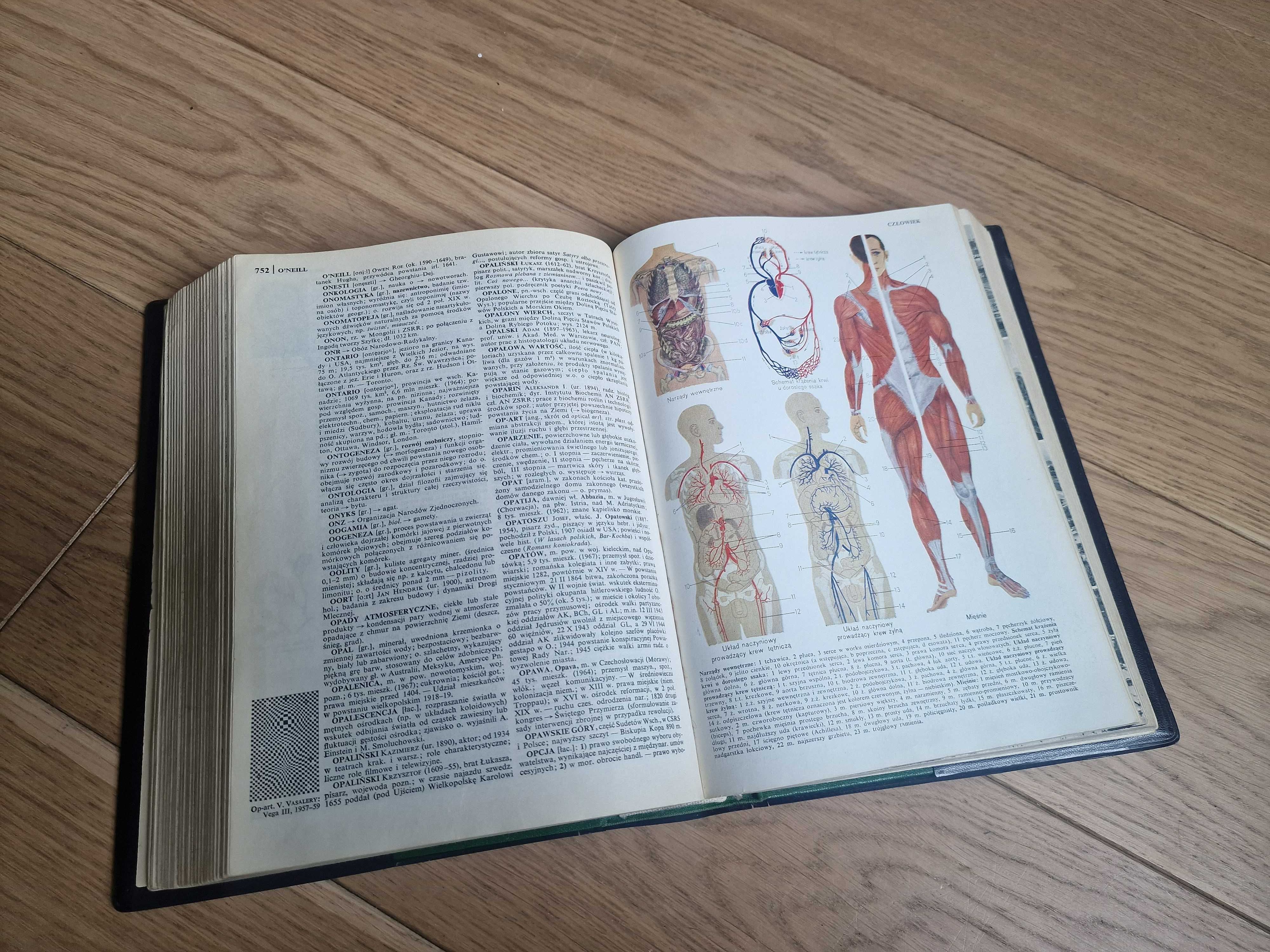 OKAZJA! Antyk Mała encyklopedia powszechna PWN z PRL 1970 rok