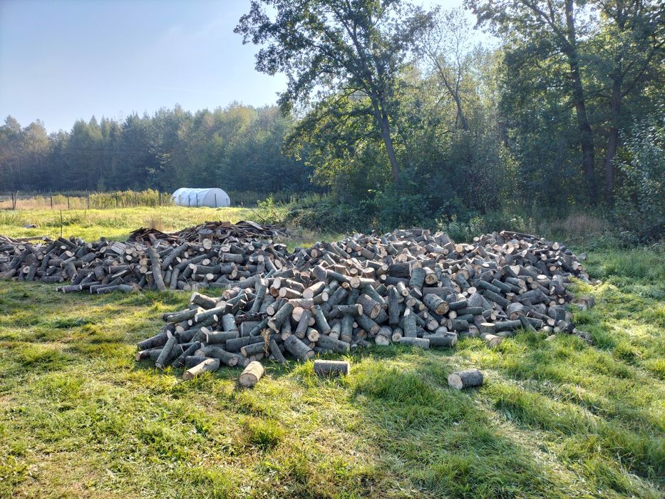 Drzewo opałowe osika