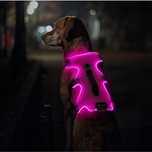 Nowe‼️ Jedyne takie Świecące Szelki Dla twojej Damy L Dark Dog Harness