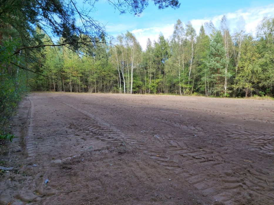 Mulczowanie Frezowanie Wycinka drzew Karczowanie Mulczer Wgłębny Leśny