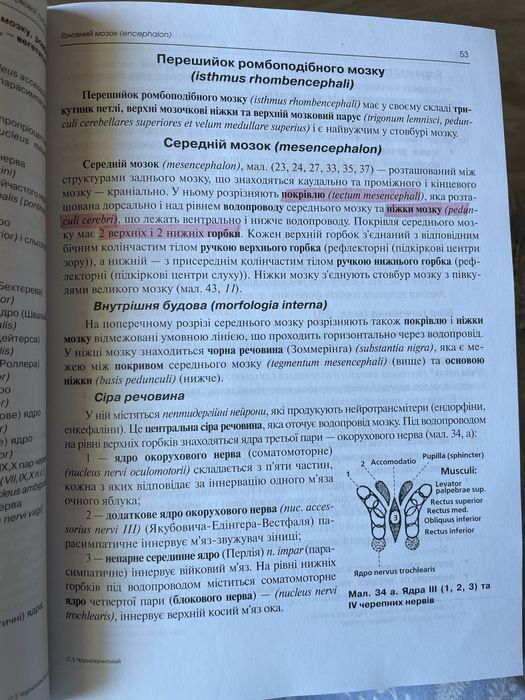 Анатомія Чорнокульський