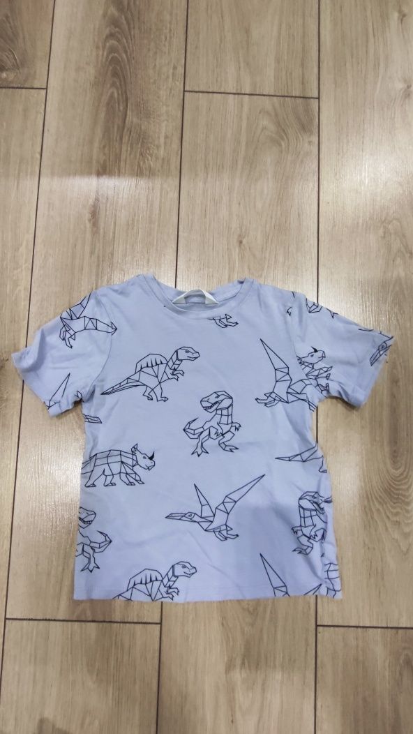 Zestaw dla fana dinozaurów rozmiar 110