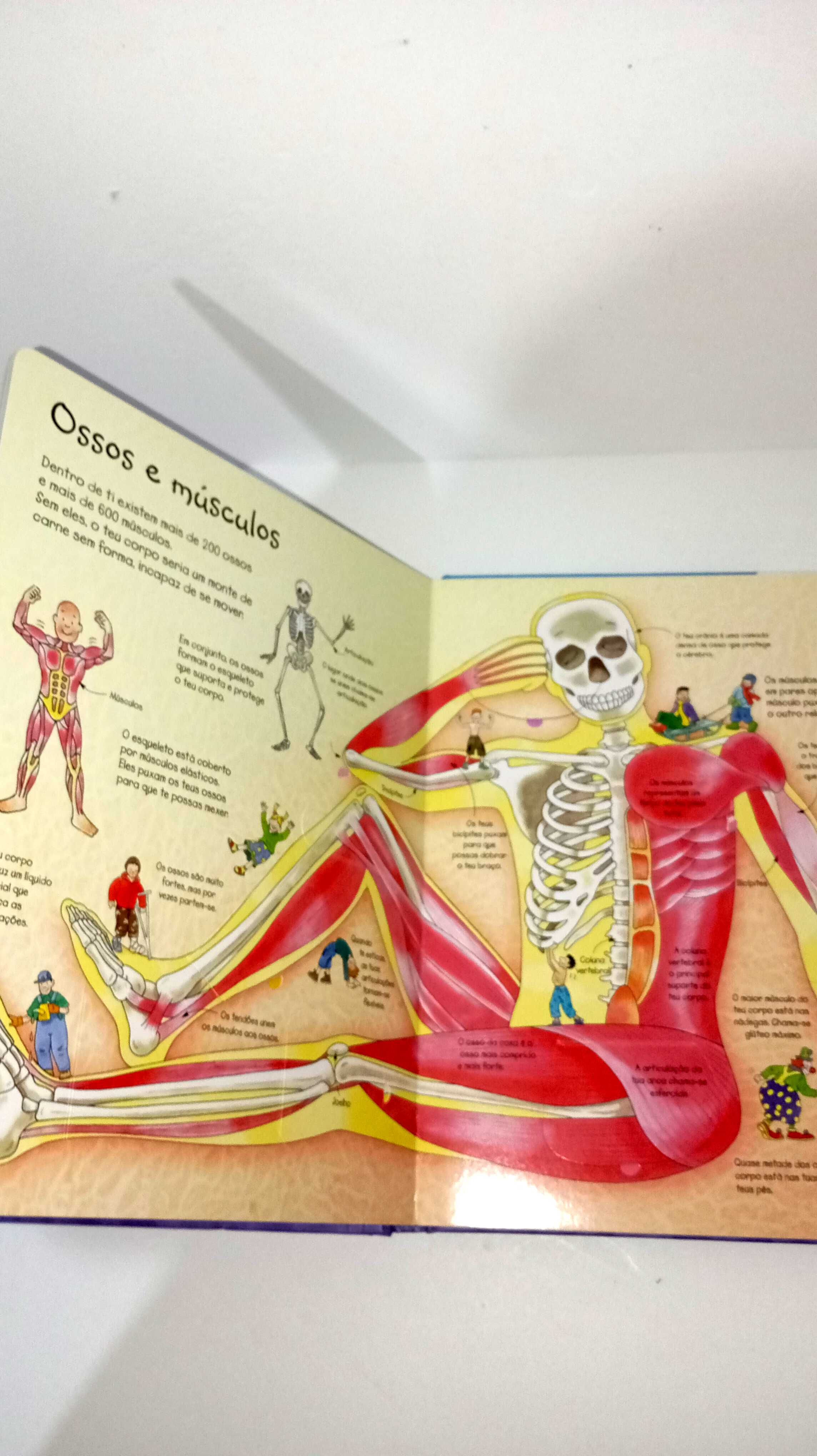 Espreita o teu corpo