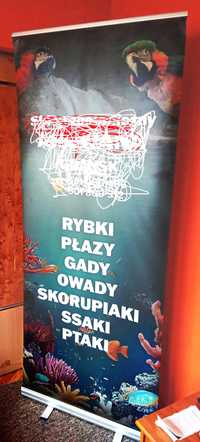 ROLL-UP 85x200  reklama