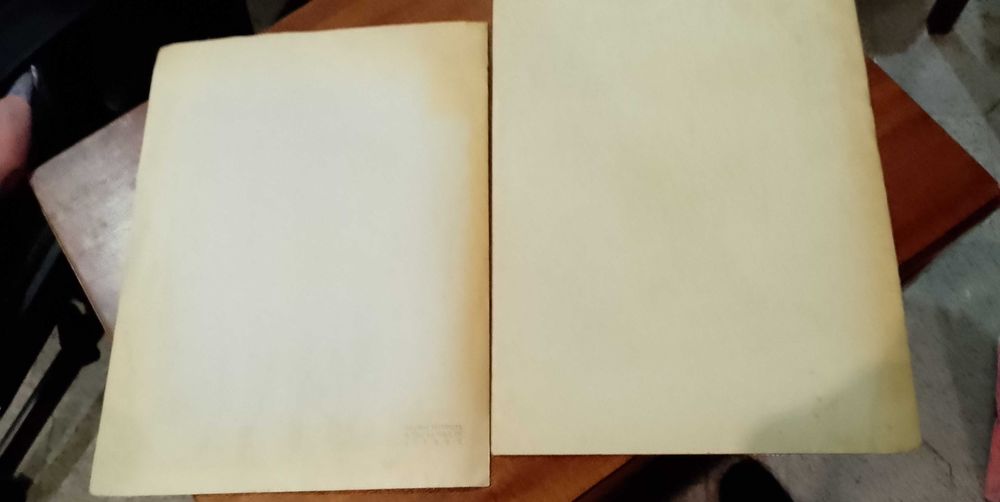 Engenheiro A. Borges de Almeida 2 Livros