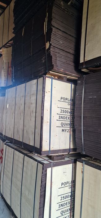 Topola Płyta eco + szalunkowa budowlana trojwarstwowa topolowa