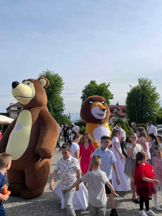 Dmuchane duże misie, atrakcja na wesele, piknik, festyn