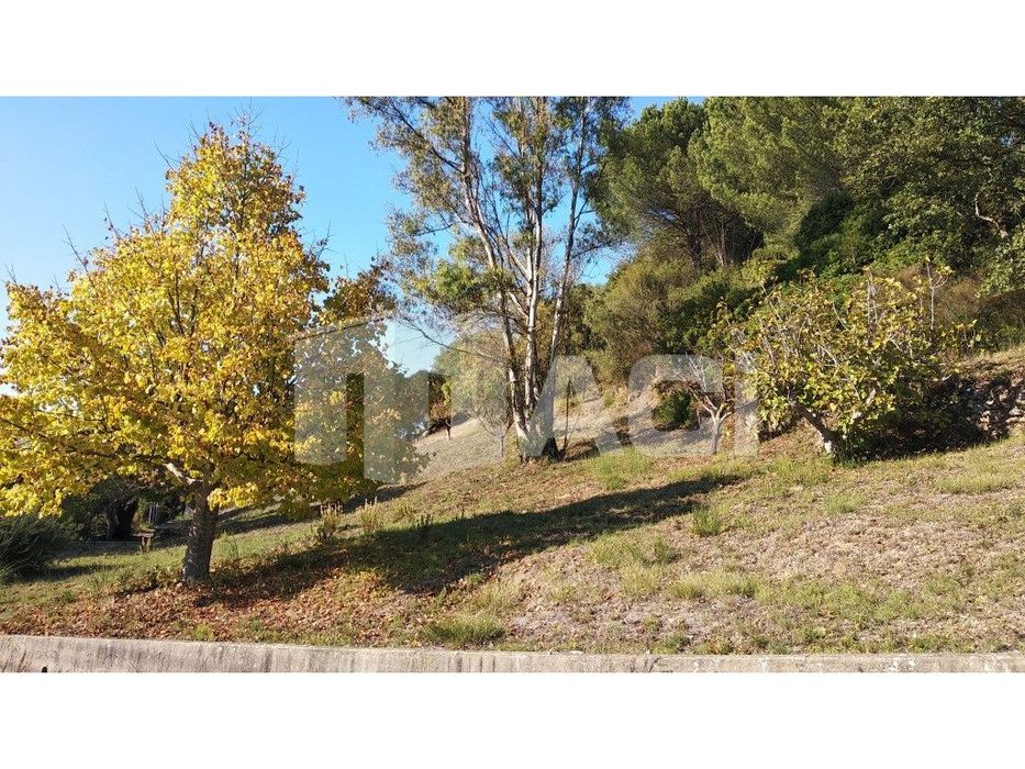 Terreno Moradia - Fontes, Leiria