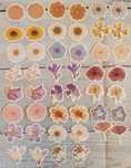 Naklejki KWIATY kwiatki 48 sztuk scrapbooking
