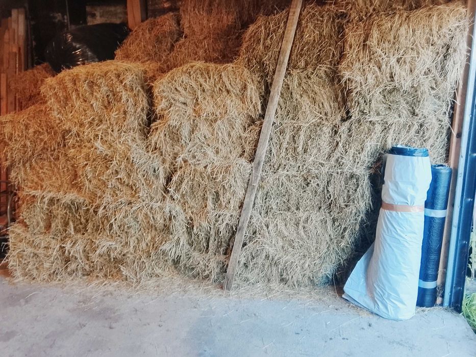 siano w kostkach 60 kostek transport