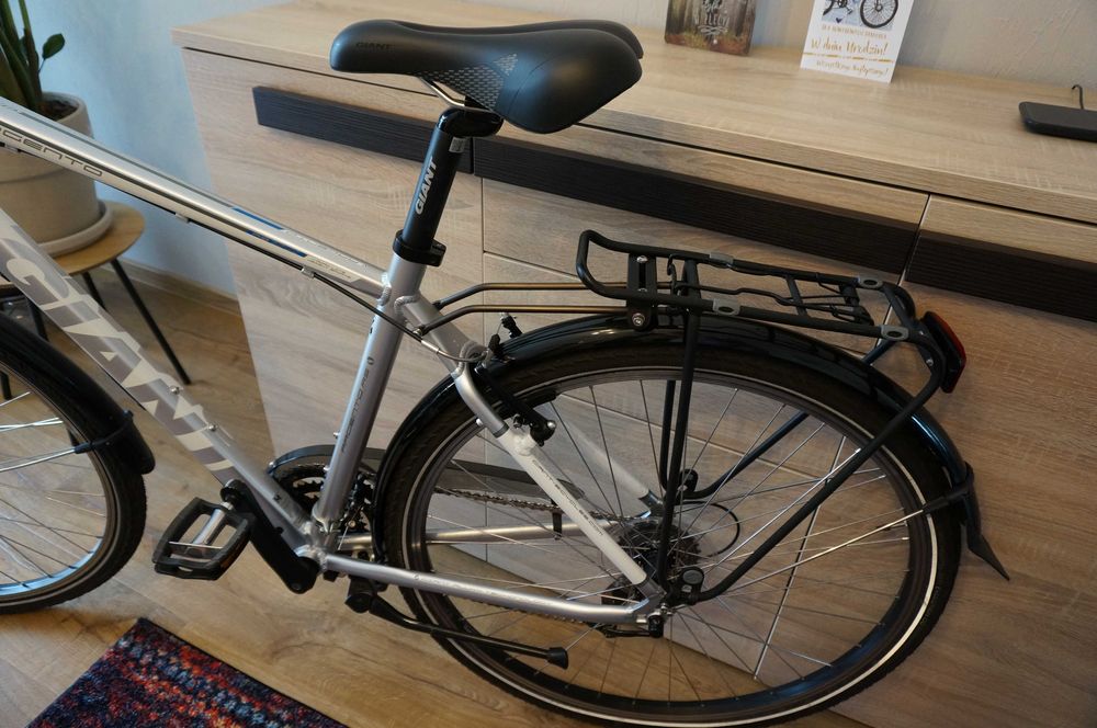 Rower Giant Argento RS 4