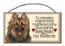 Tabliczka uwaga pies zabawna drewniana Owczarek Belgijski 31