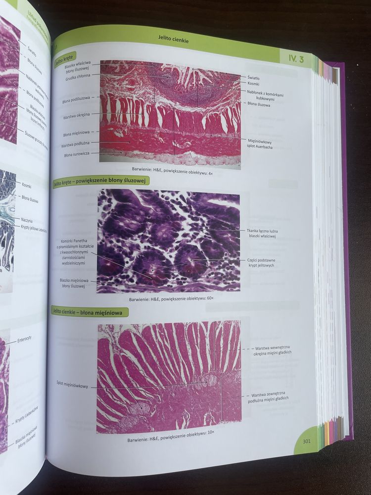 Histologia Memorix
