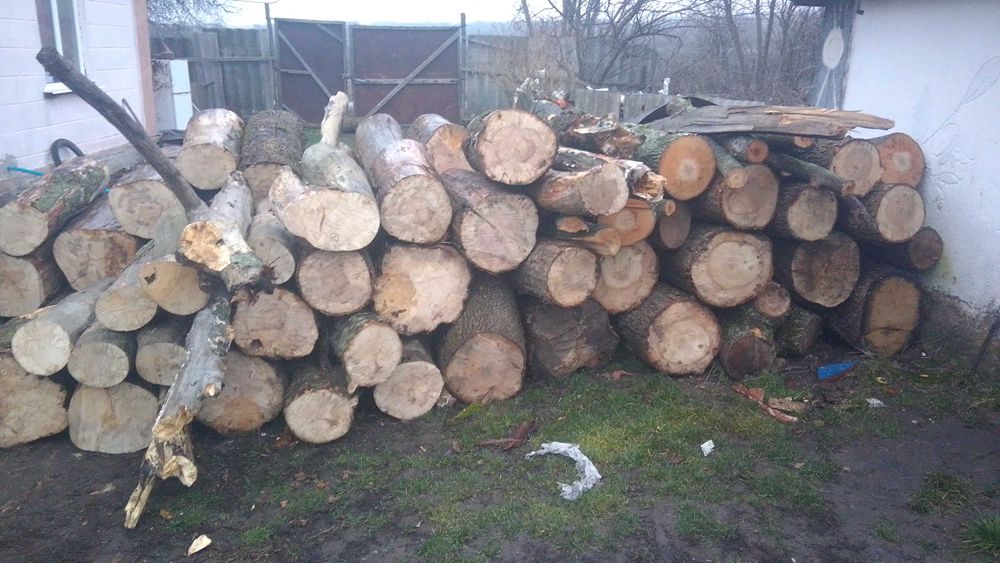 Продам дрова твердих порід дуб ясен
