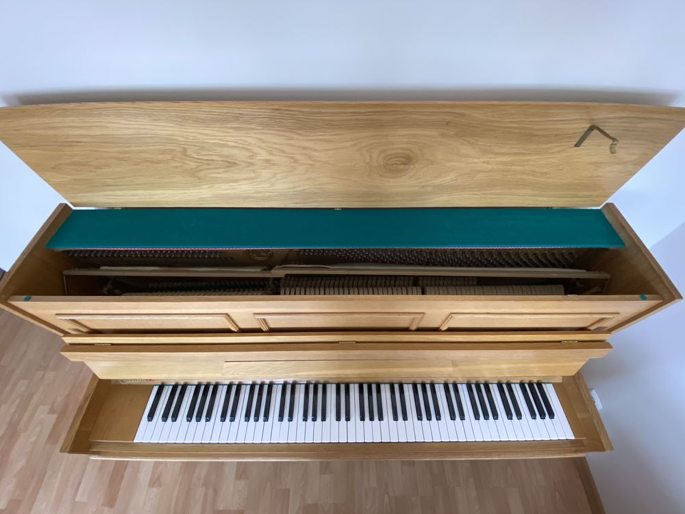 Pianino Calisia M-108