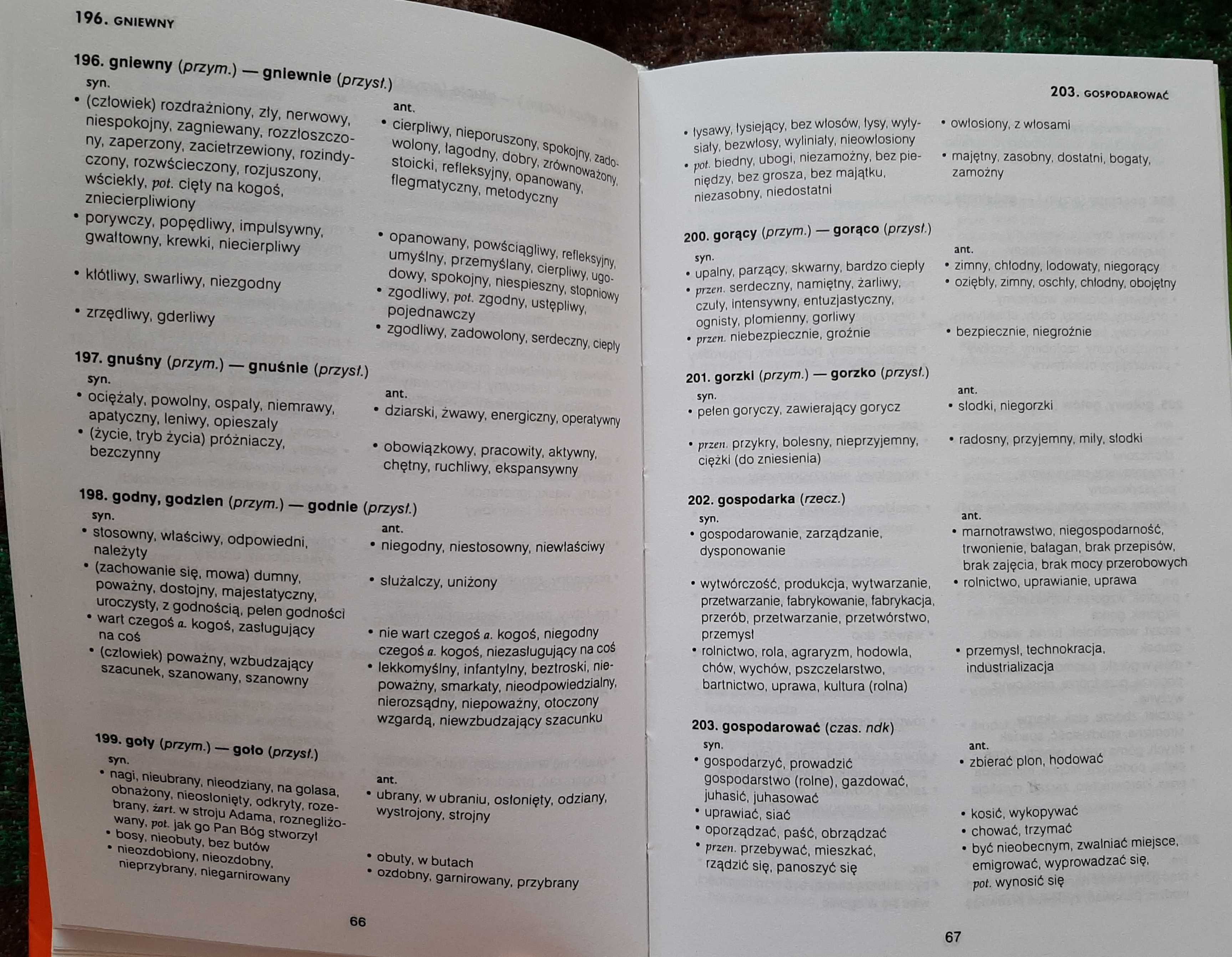 Słownik synonimów i antonimow
